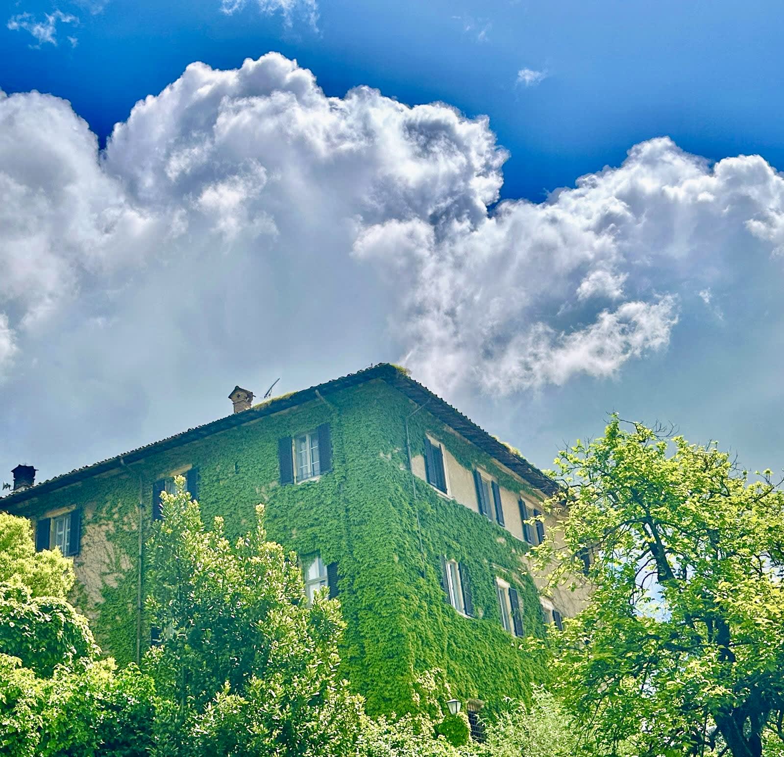 Chianti Classico - Image 58