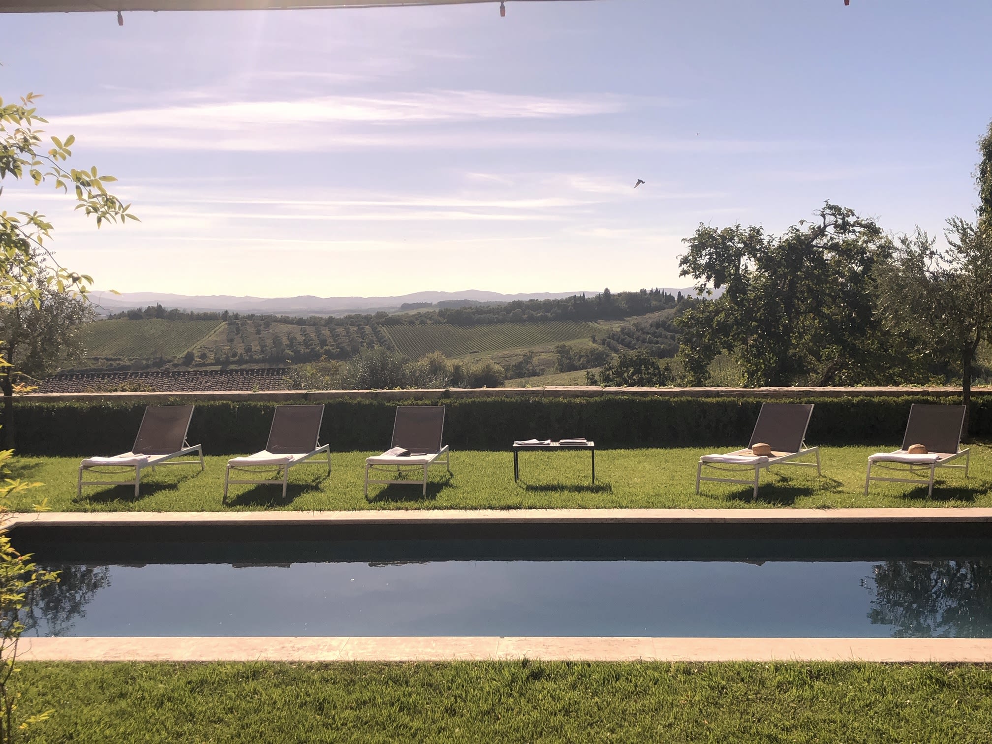 Chianti Classico - Image 6