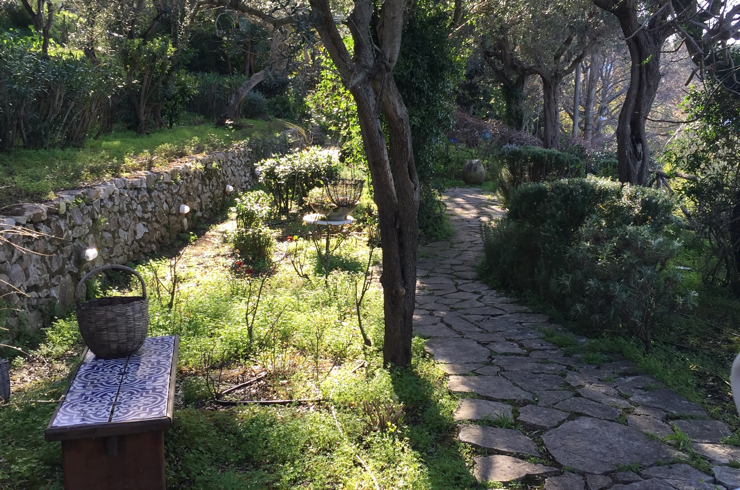 Sogno di Capri - Image 27