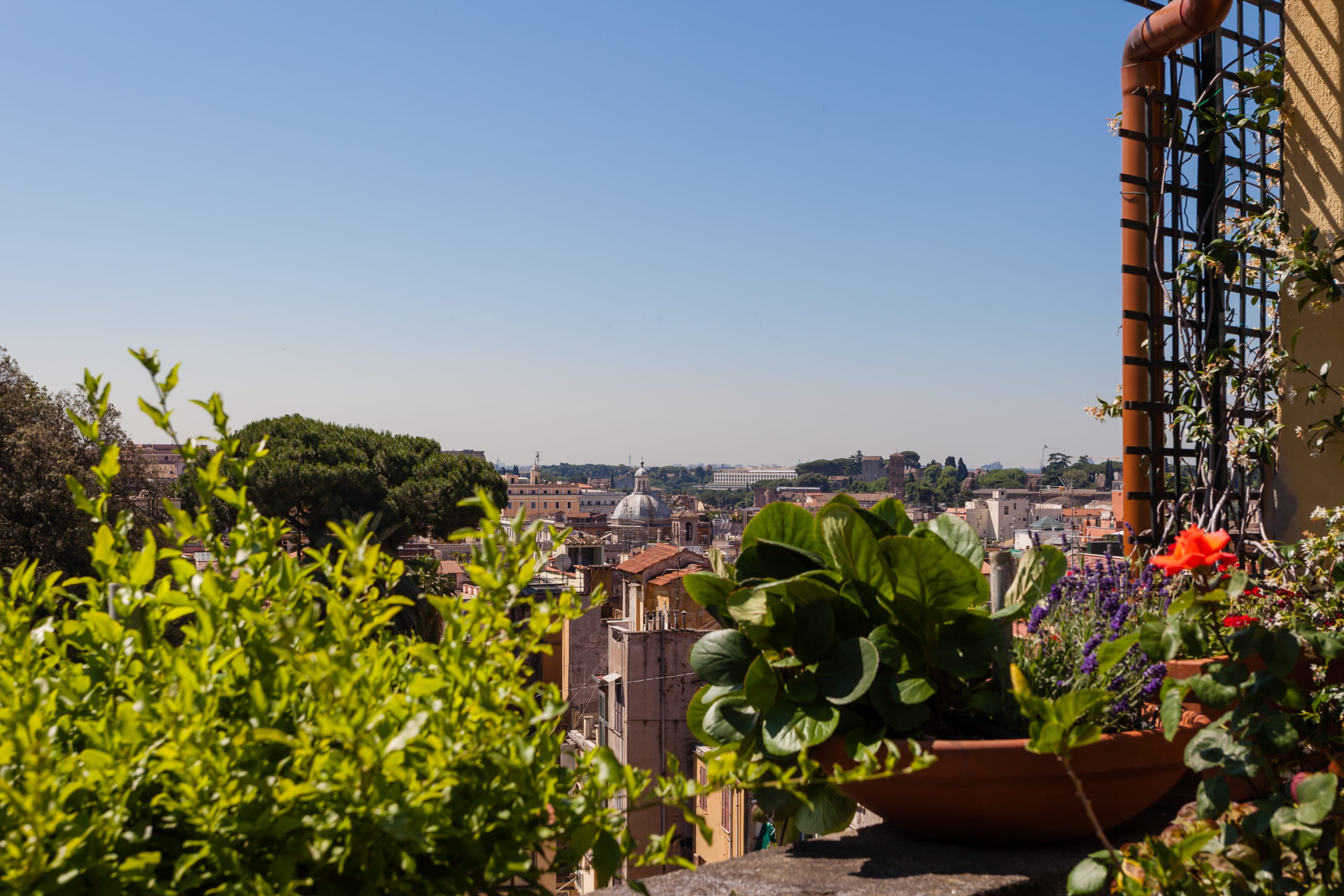 Palazzo Palermo - Image 33