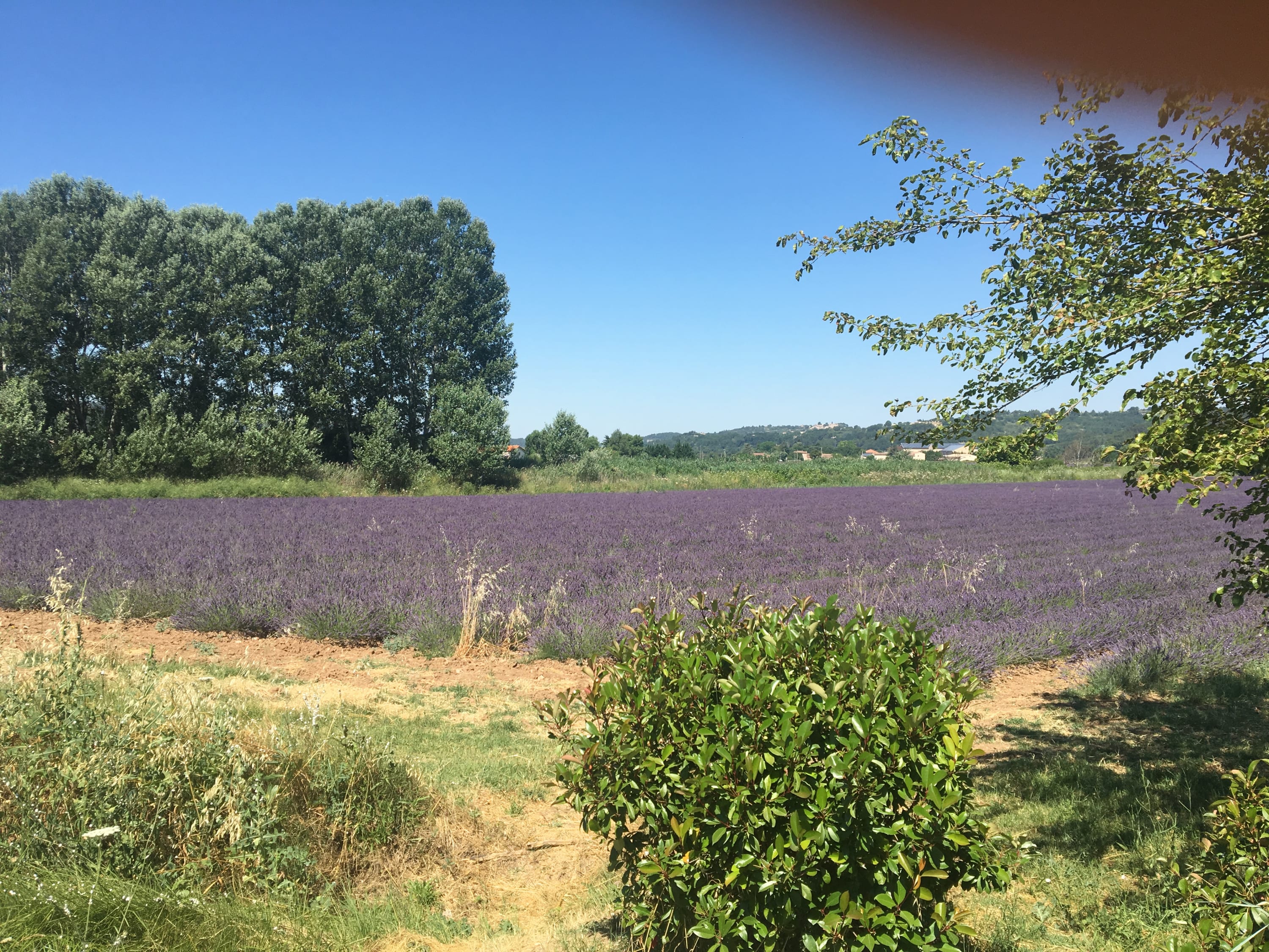 Property thumbnail 61