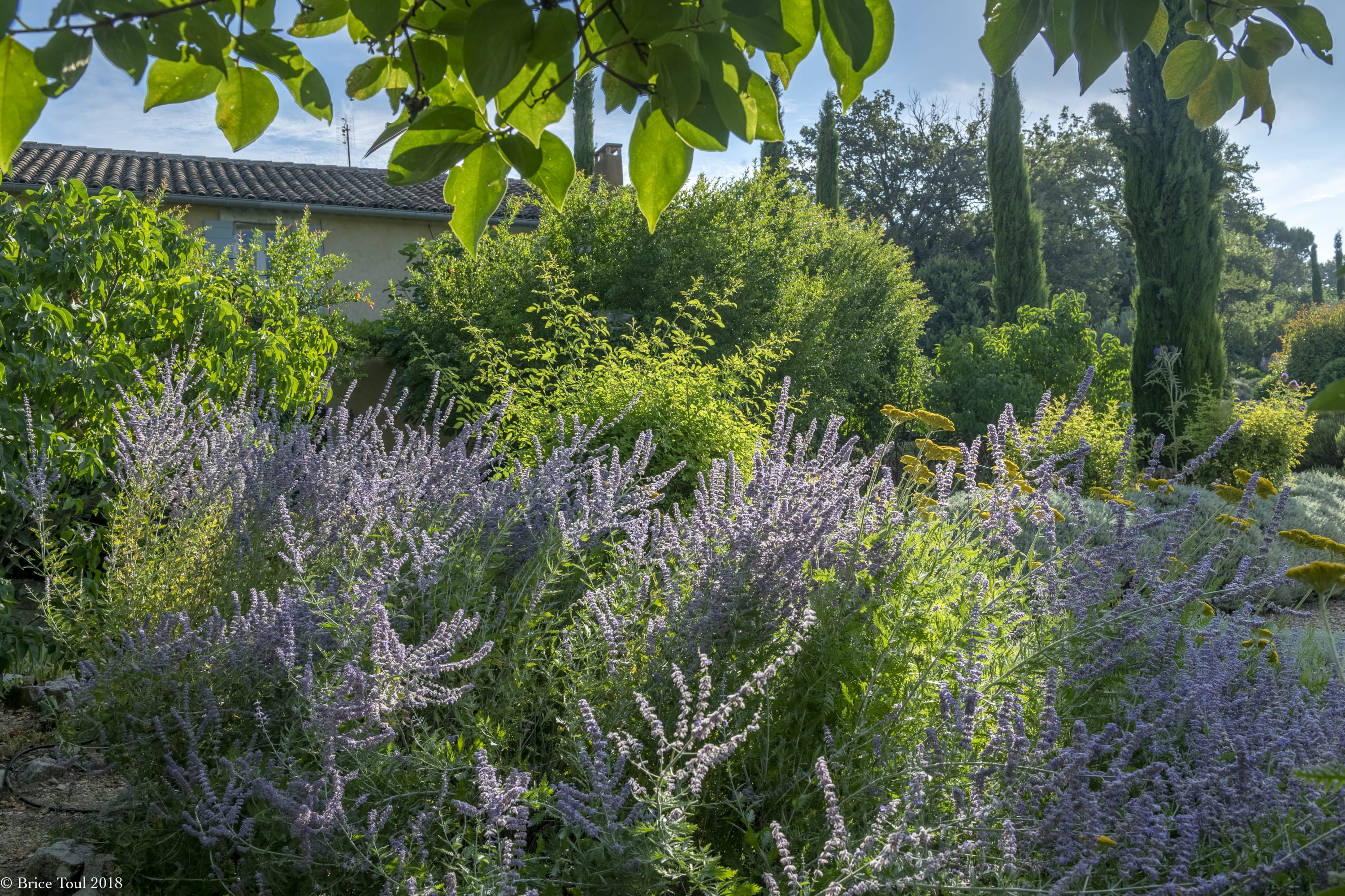 Property thumbnail 17