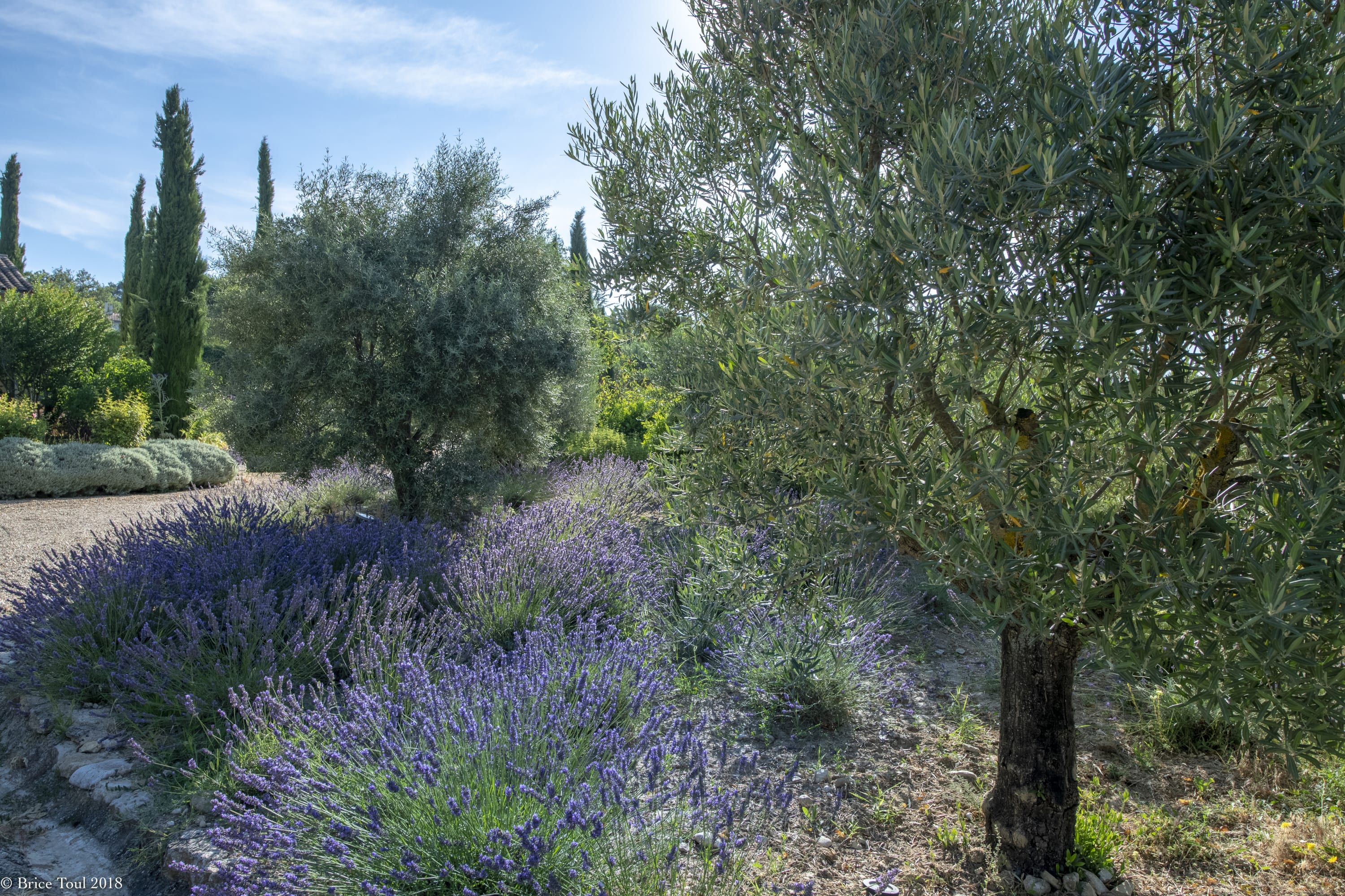 Property thumbnail 15