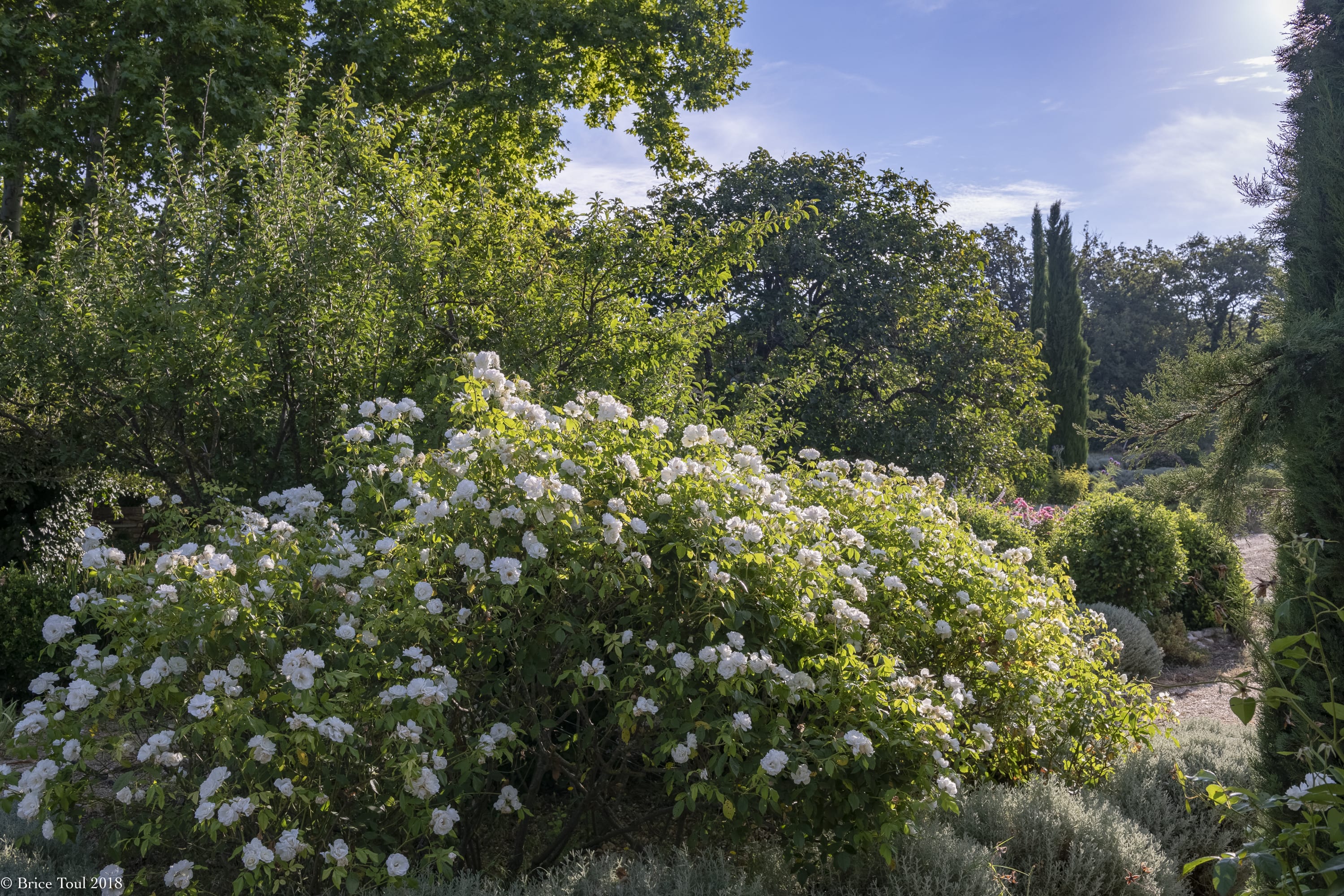 Property thumbnail 20