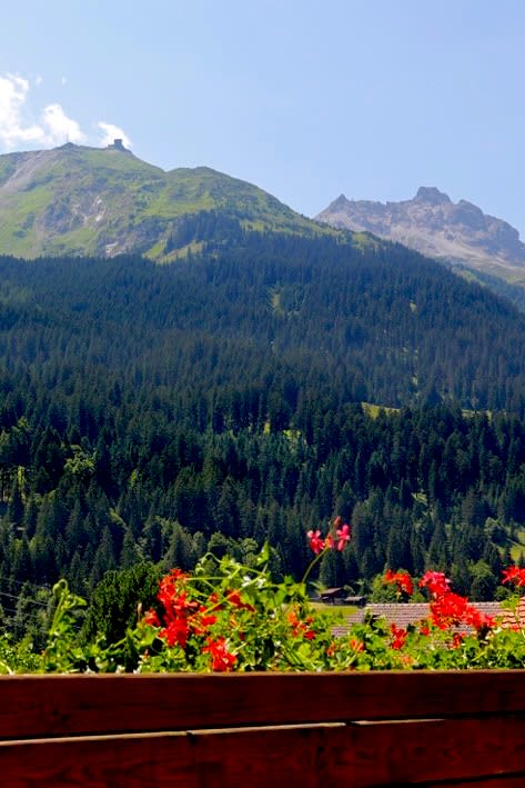 Chalet Marmot - Image 25