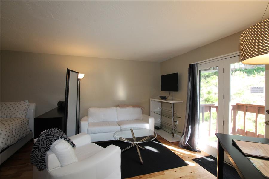 Skyland Lodge, Super cute studio, hot tub — Skyland & Surrounding Areas, CO — vacation rental