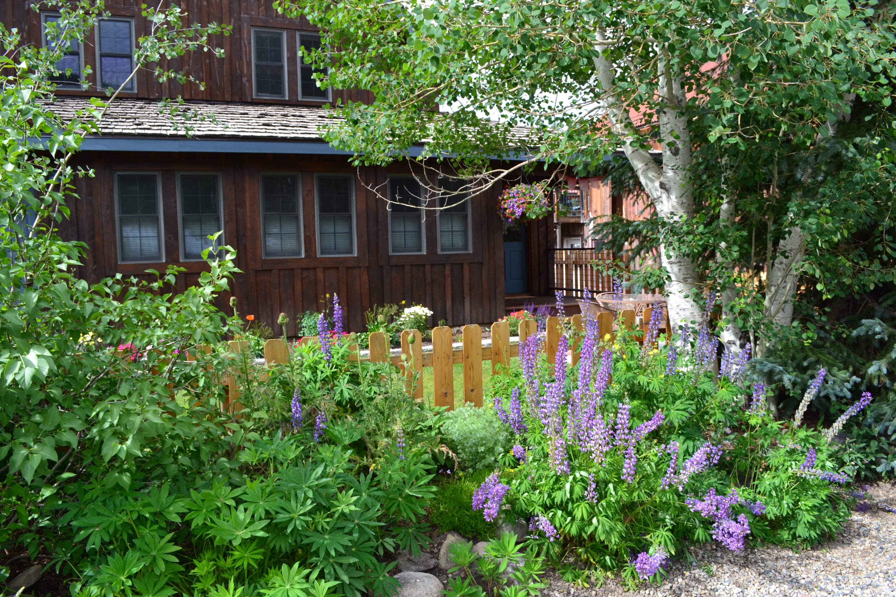 Beautiful home in the heart of town. — Crested Butte, CO — vacation rental