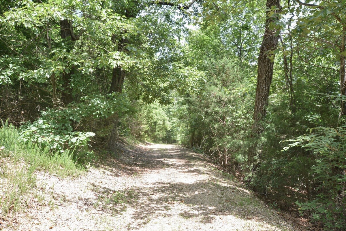 Hiking trails