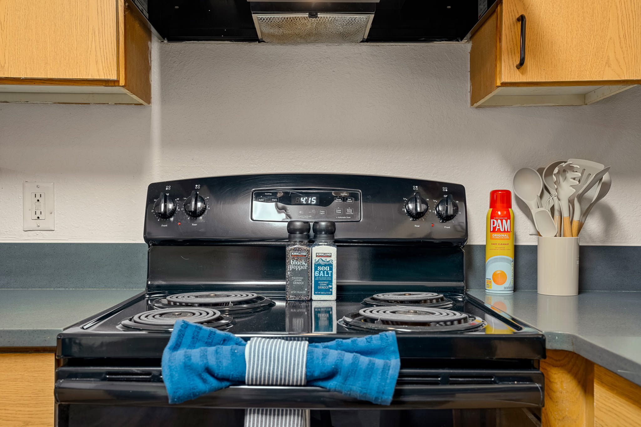 2 MI to USF! Pet Friendly! Pool and Gym!