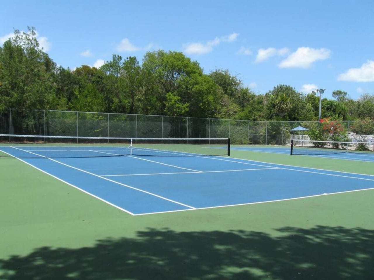 Tennis & Pickle ball courts