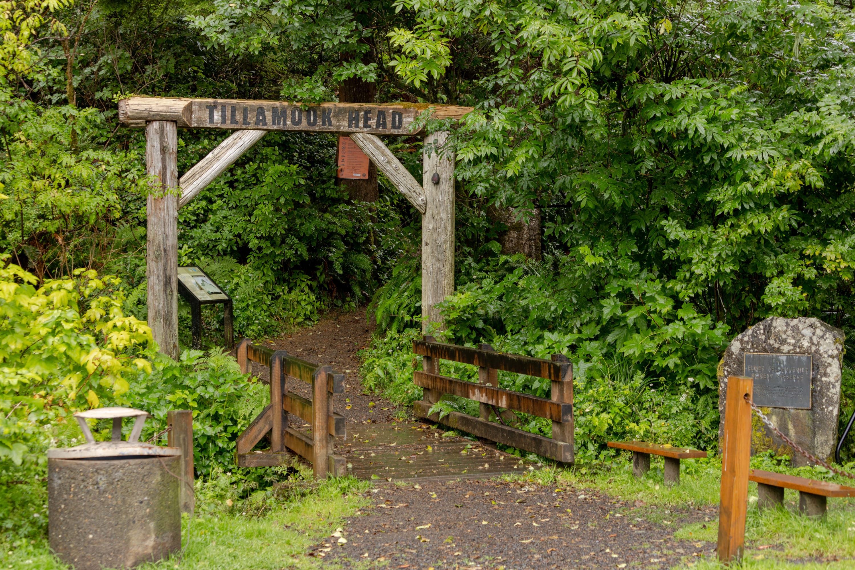 A rustic wooden archway with 'TILLAMOOK HEAD' carved into it marks the entrance to a lush, green forest trail, featuring a small wooden bridge and dense undergrowth. Informational signs and benches are visible near the path.
