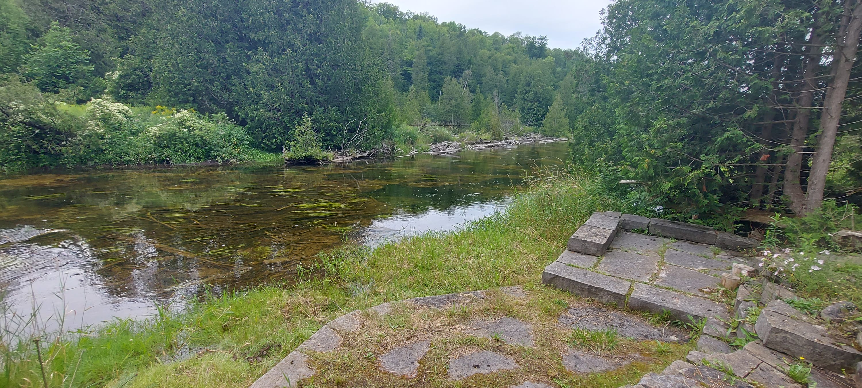 RC - Cottage #1224