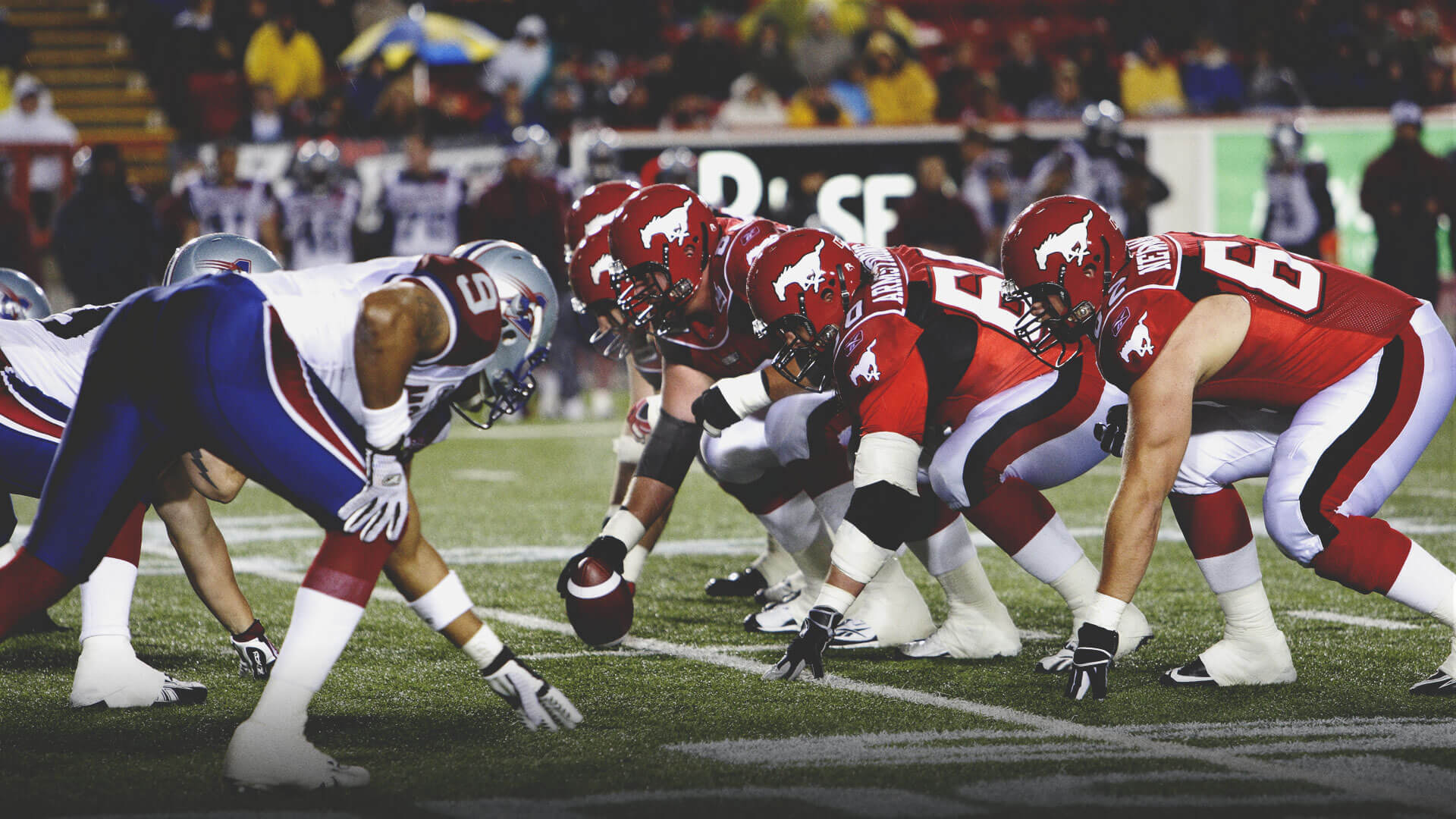 Calgary Stampeders Football