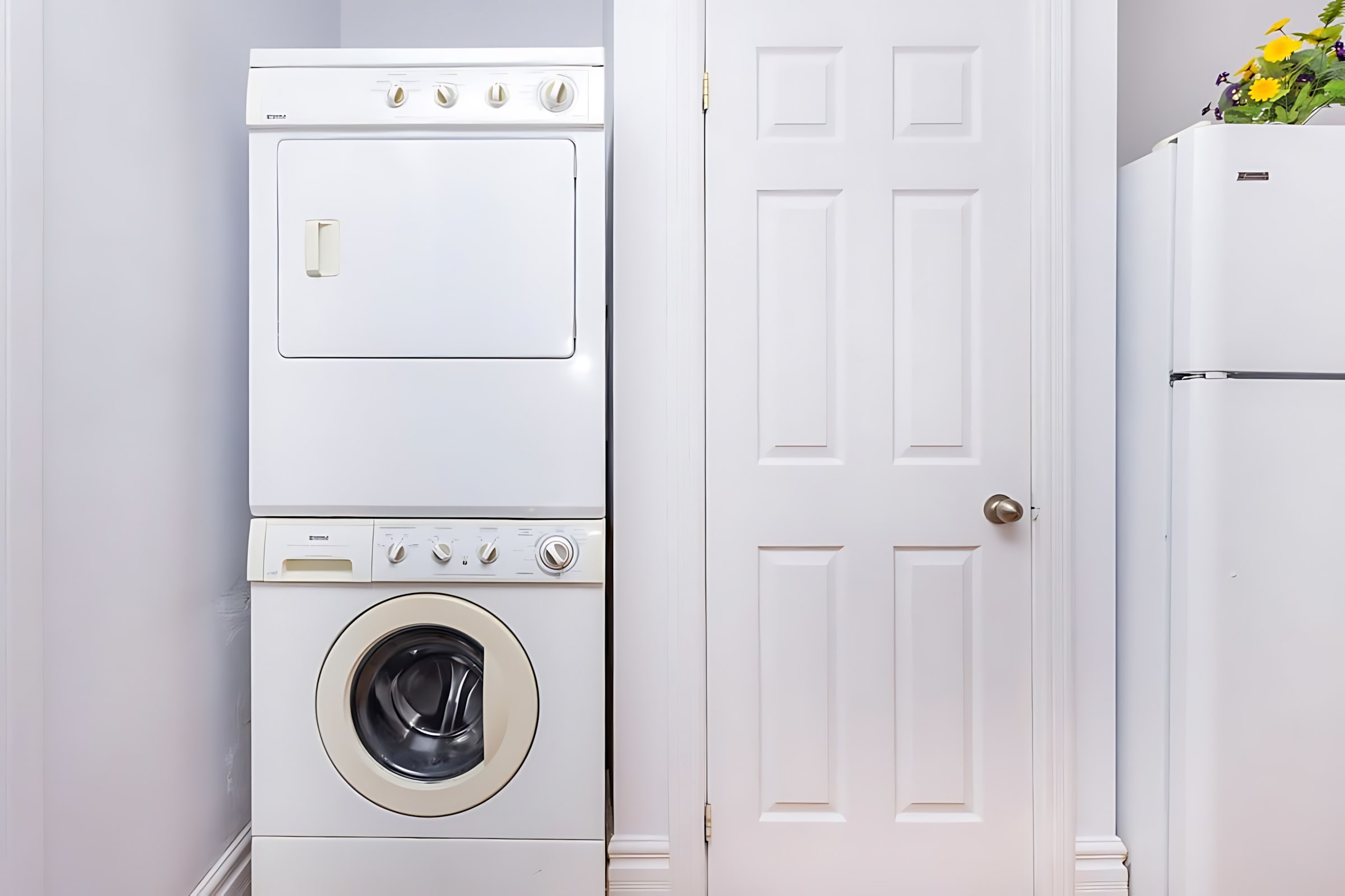 In suite laundry machines