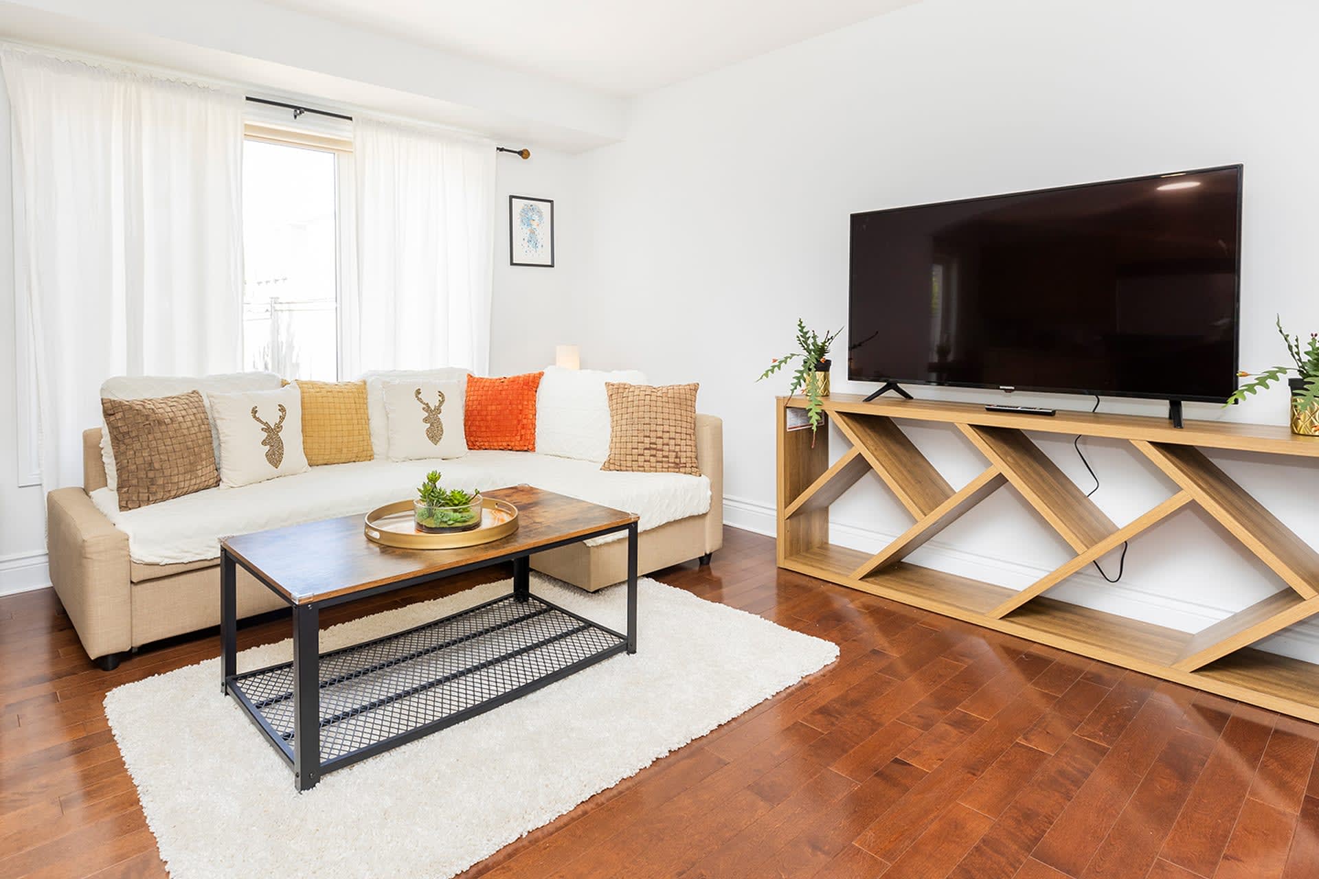 Large Flat Screen TV