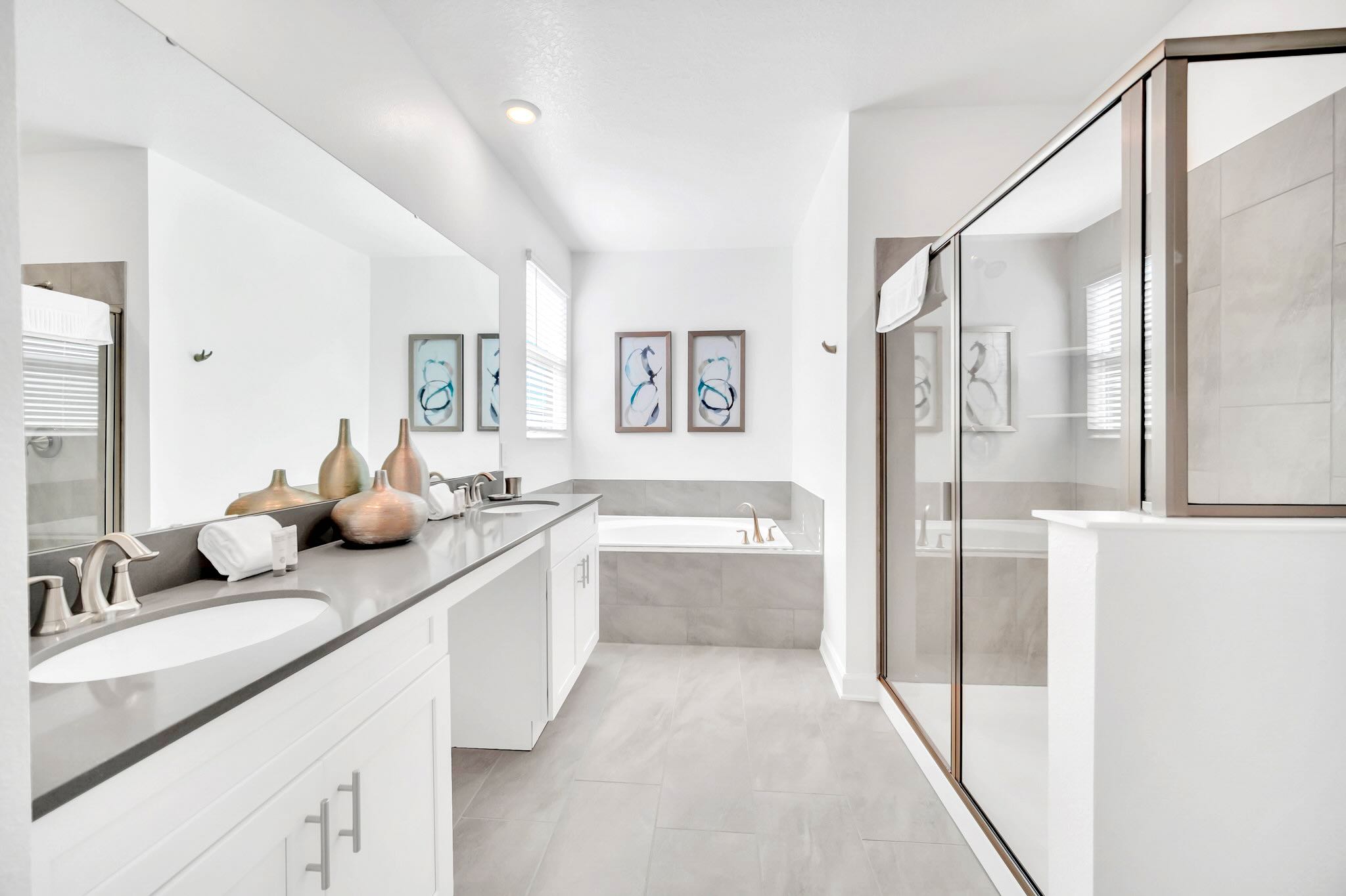 Beautiful master bathroom