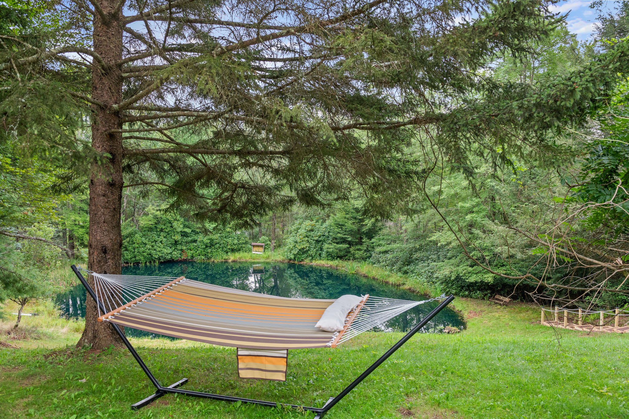 Nestled under the trees, this hammock is the ultimate spot for a lazy afternoon nap or peaceful moments by the pond.