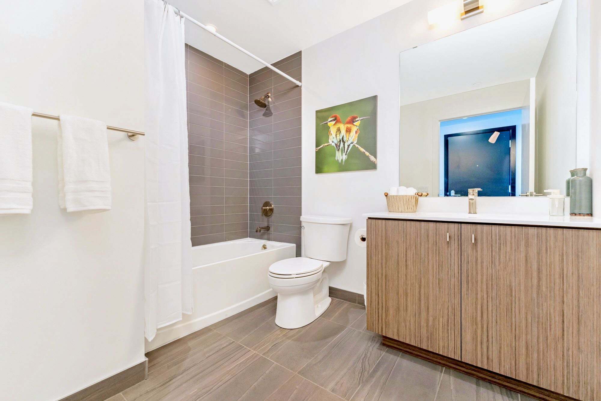 Modern Bathroom with Shower-in-Tub Design