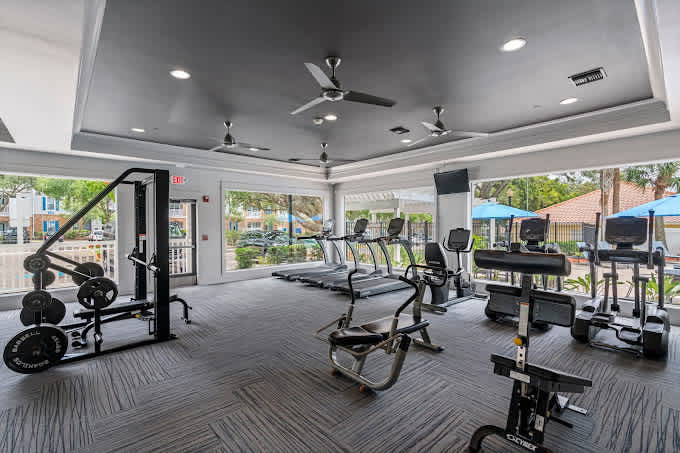 Budget Friendly! 1 MI to USF, Free Pool & GYM