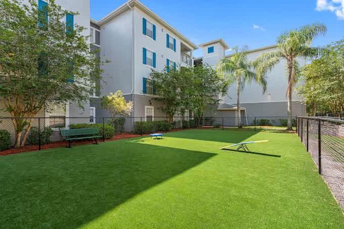Budget Friendly! 1 MI to USF, Free Pool & GYM