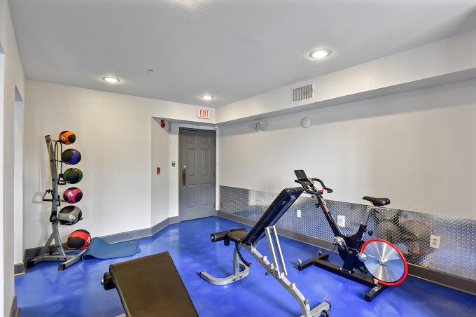 Budget Friendly! 1 MI to USF, Free Pool & GYM