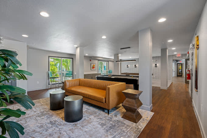 Budget Friendly! 1 MI to USF, Free Pool & GYM