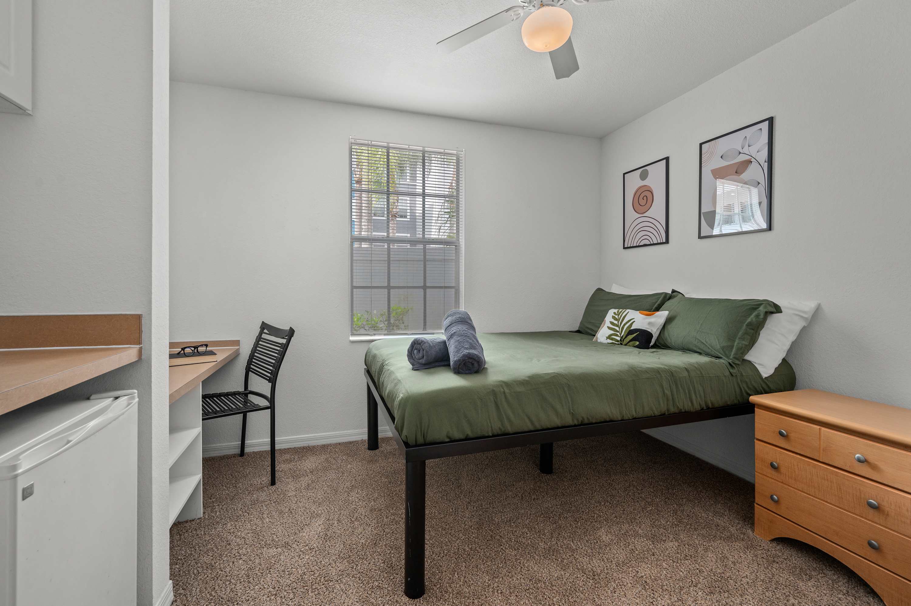 Budget Friendly! 1 MI to USF, Free Pool & GYM