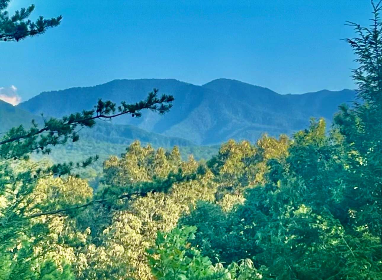 View 9