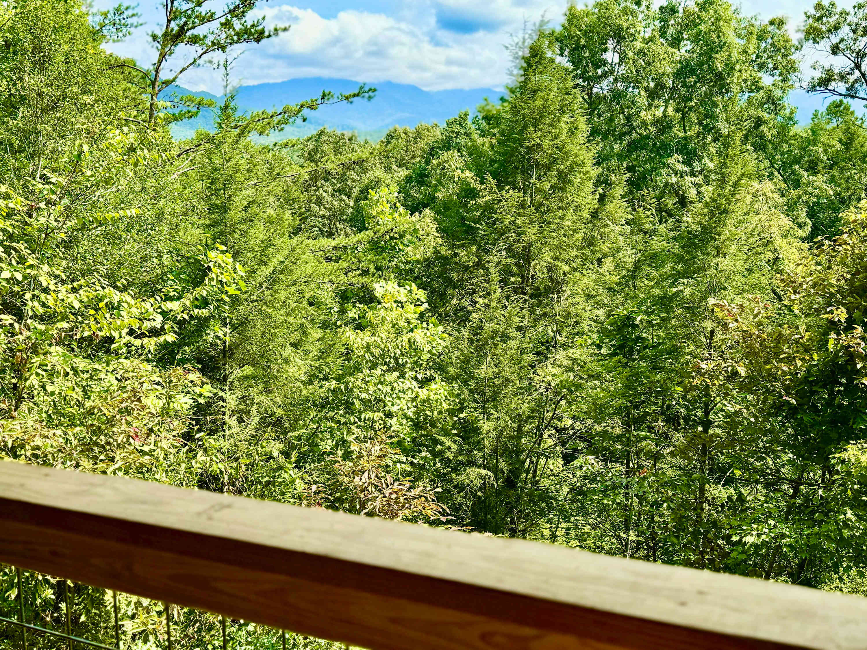 View 2
