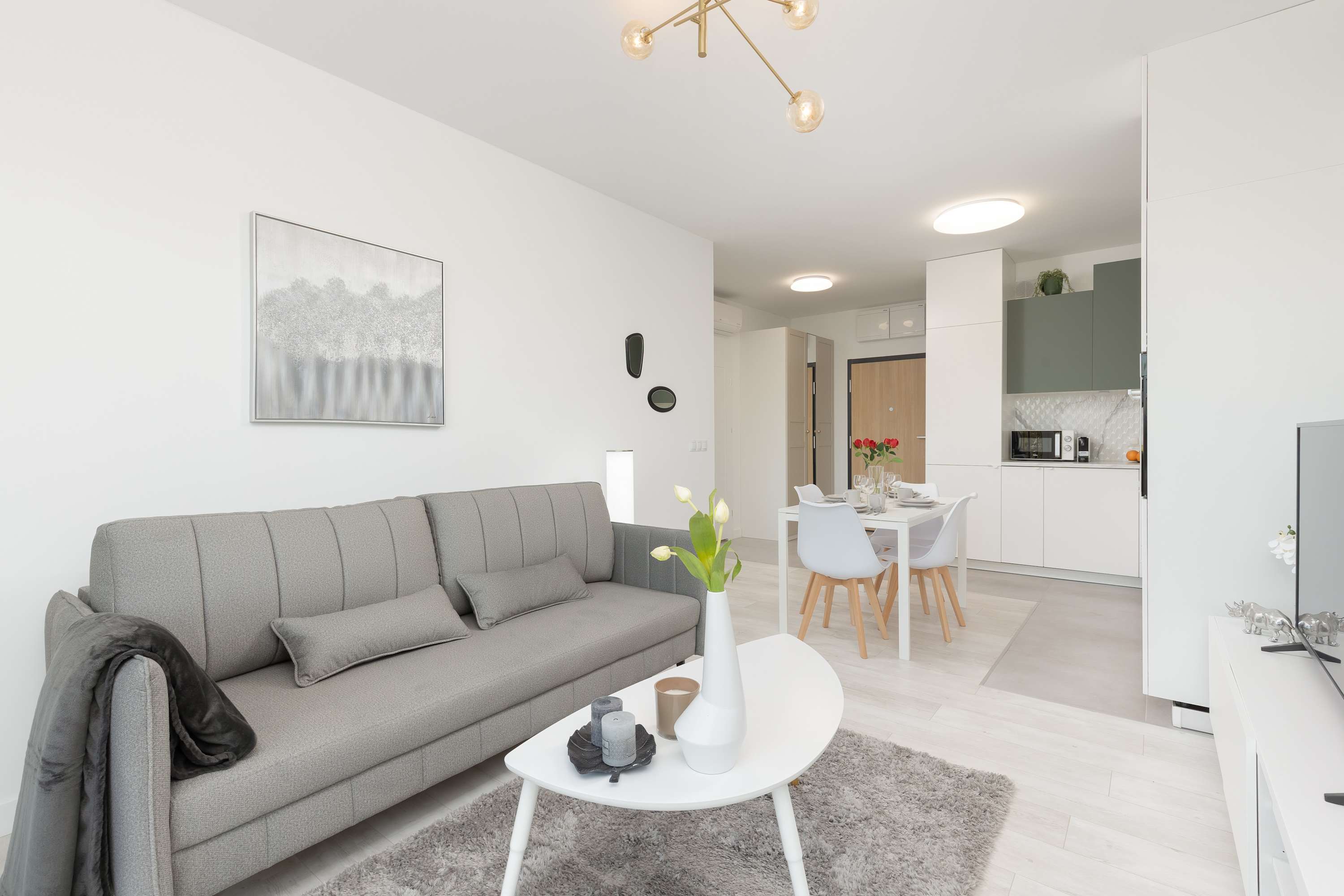 Drewnowska 77C | Apartment | A/C | Parking — Łódź, Województwo łódzkie — vacation rental