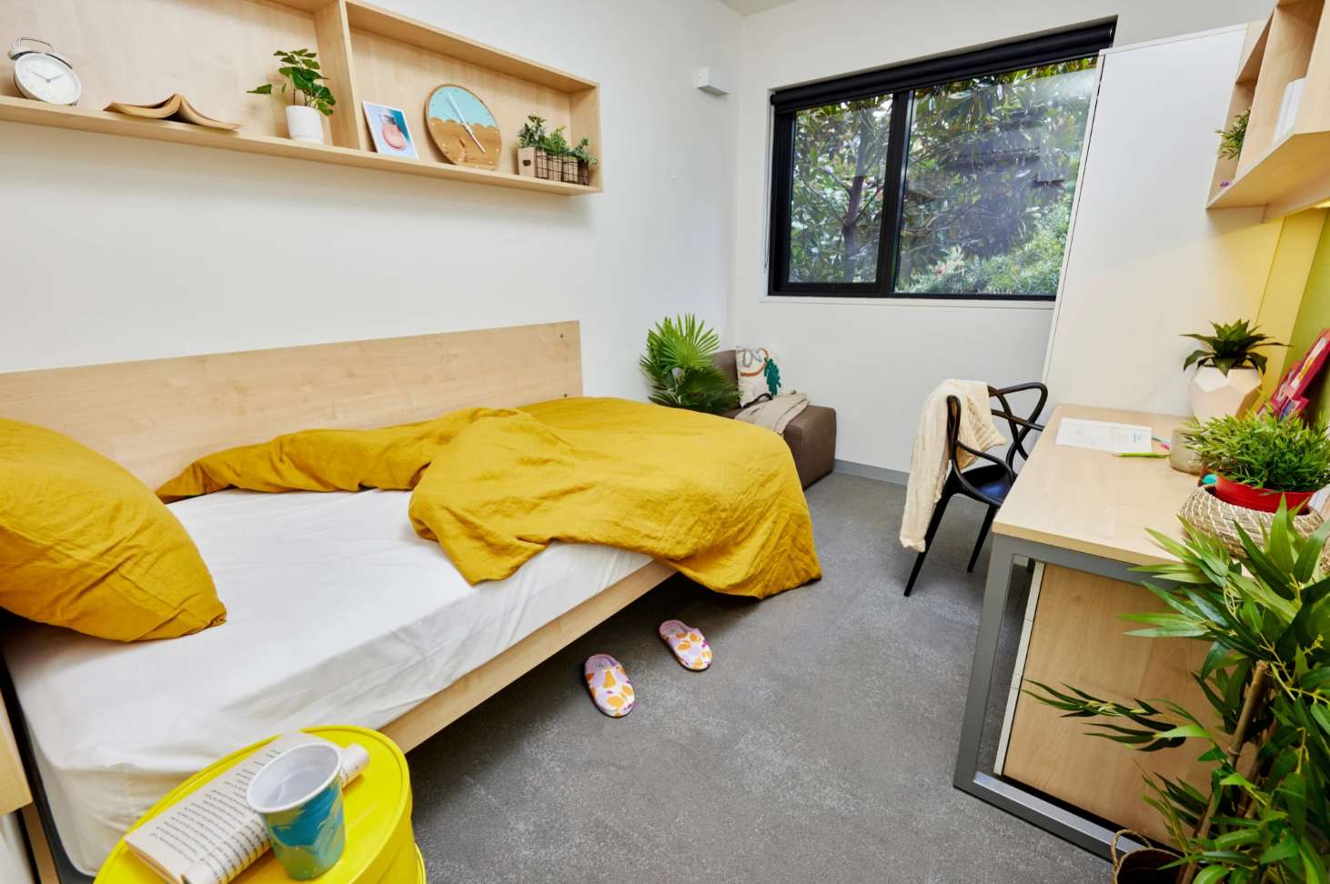 Sydney Scape Central Large Twin Bed Shared Apartment (FEMALE) — Sydney, New South Wales — vacation rental