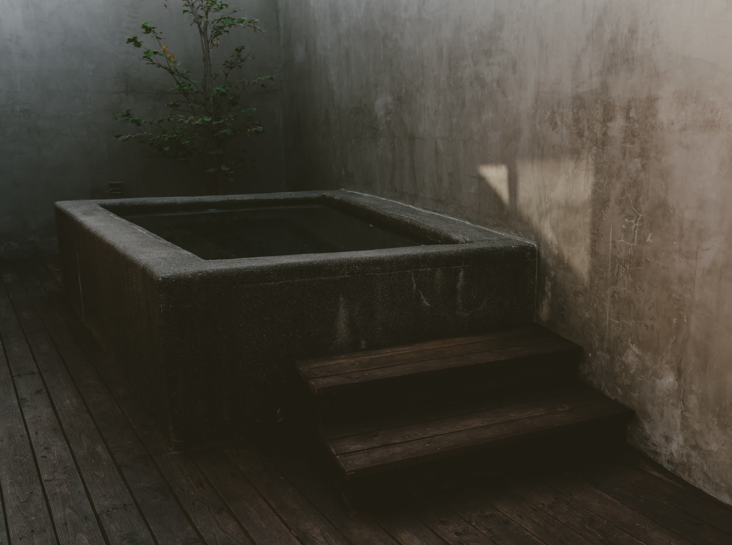 Casa Malbec Valle de Guadalupe 14