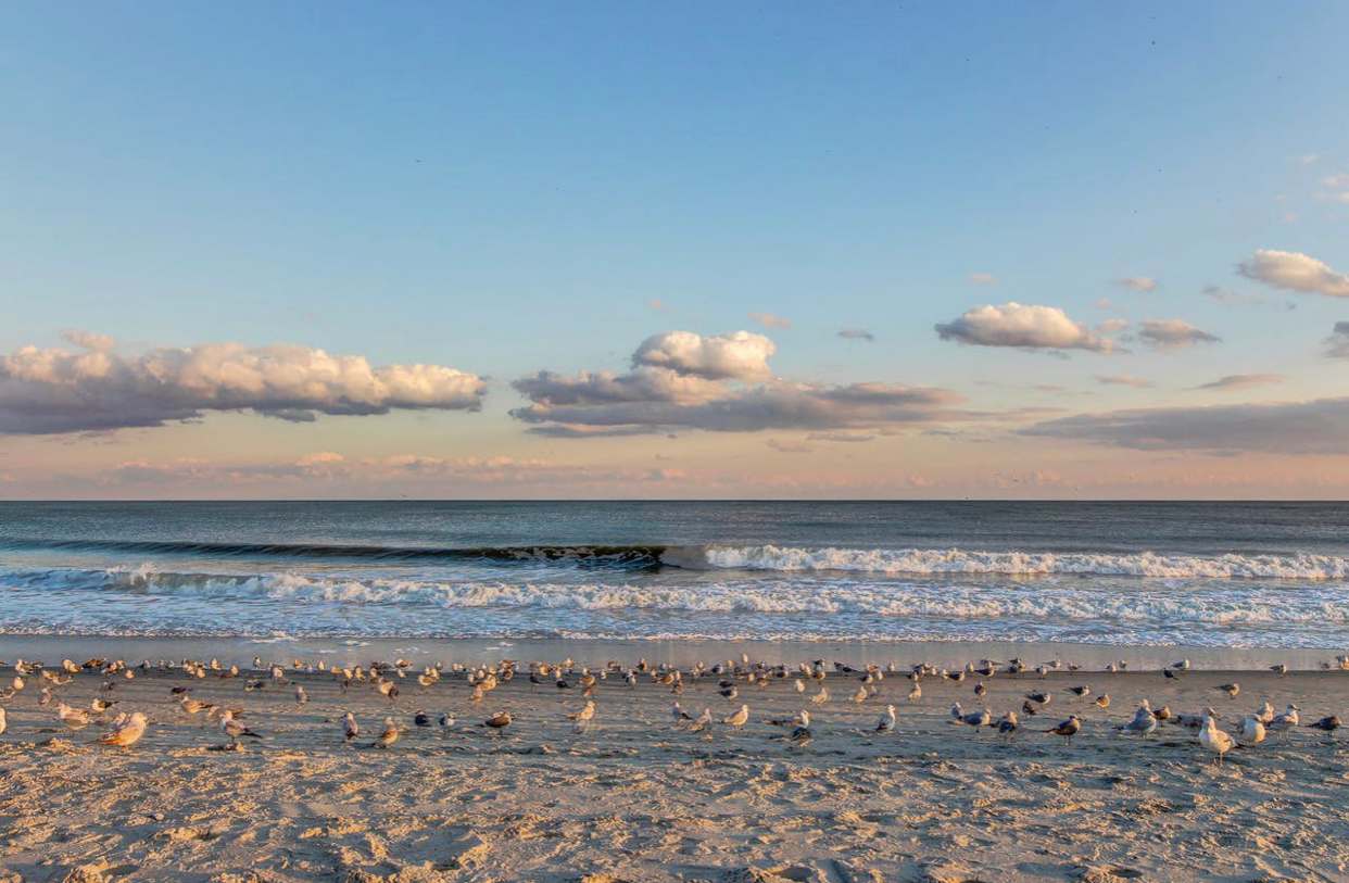 Oceanfront King ALL Amenities Pools Y52 | Photo 73