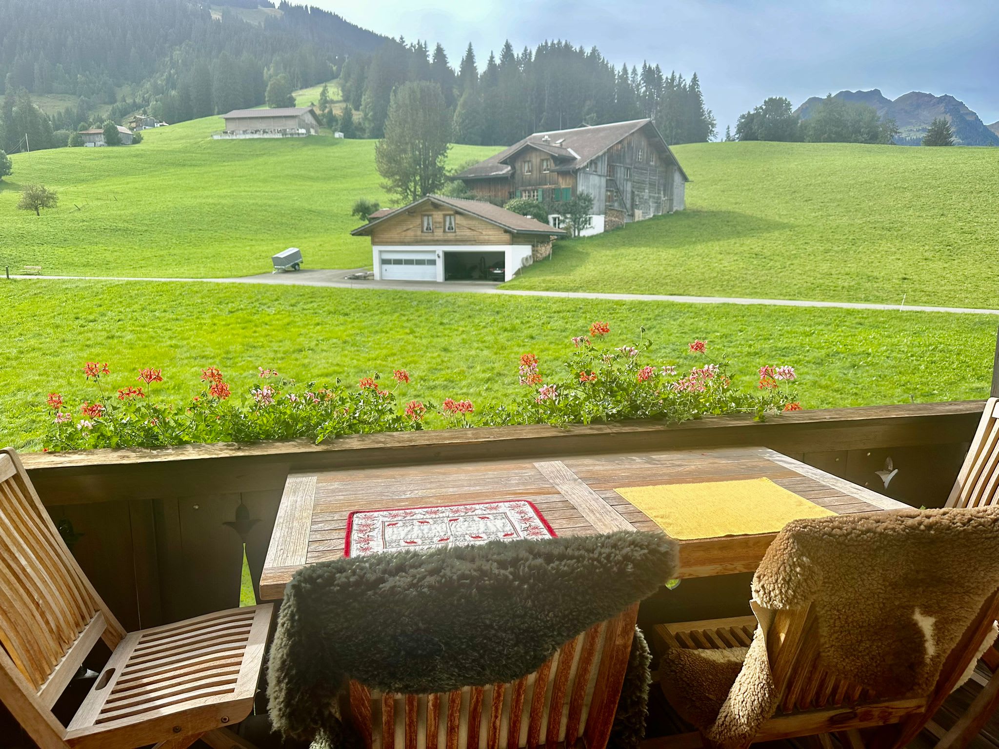 GST058 Marina Wispil