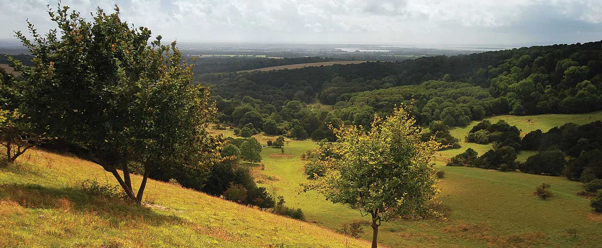 South Downs National Park is a short drive away. Discover rolling hills, footpaths and wildlife.