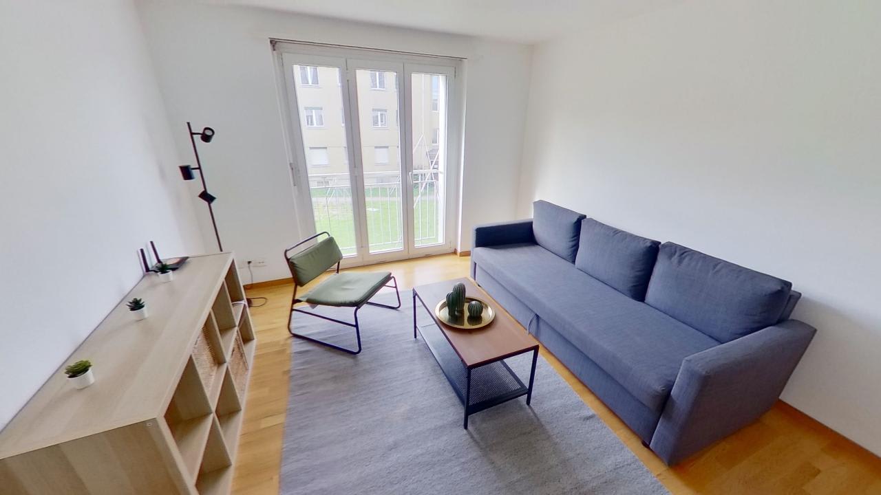 Basic 2-Bed Flat with Sofa Bed in Zurich - Picture 1