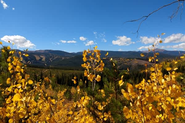 Alpine Bliss | WP Resort | Amenities Deck Level