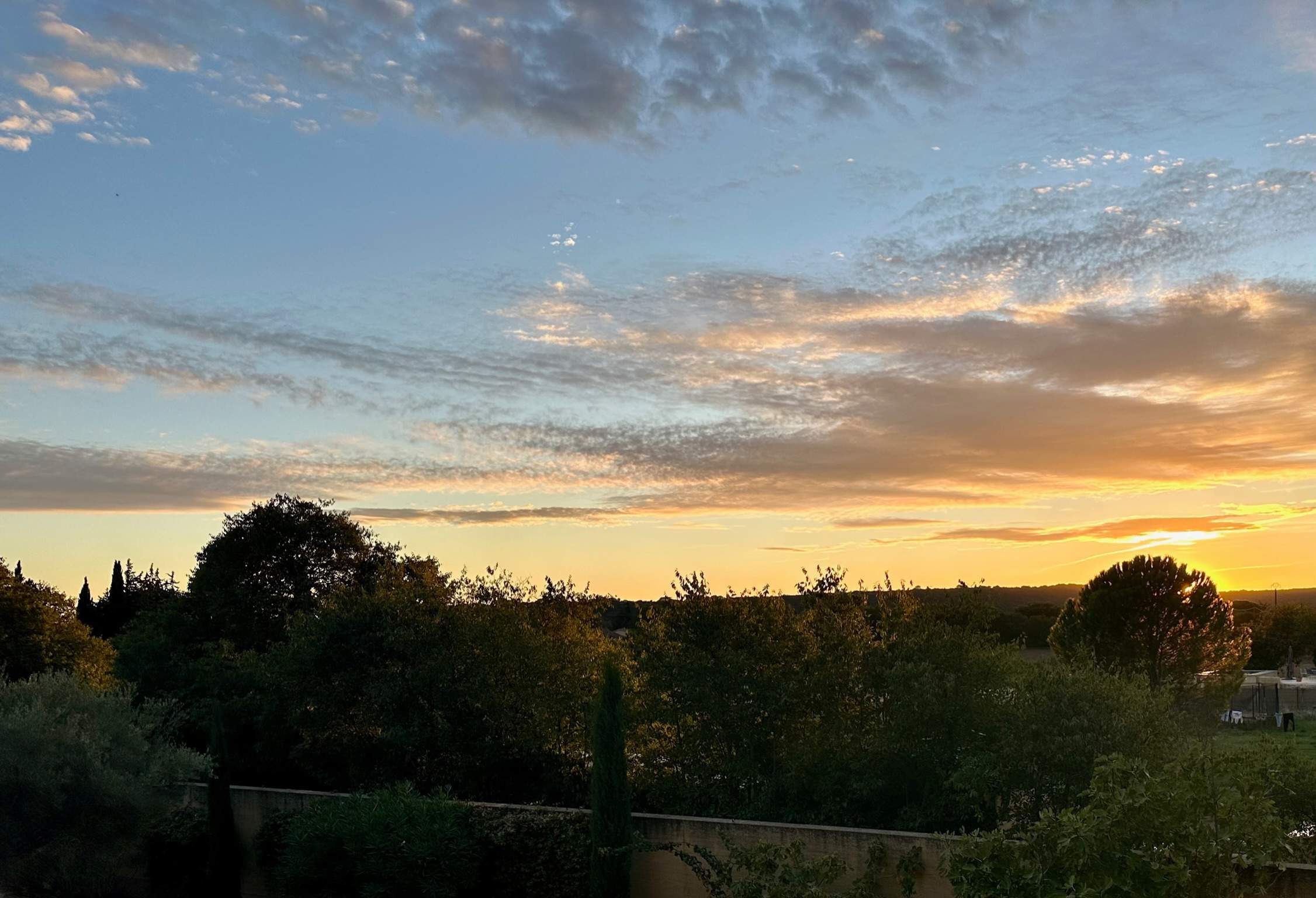 L' Olivette - Image 16