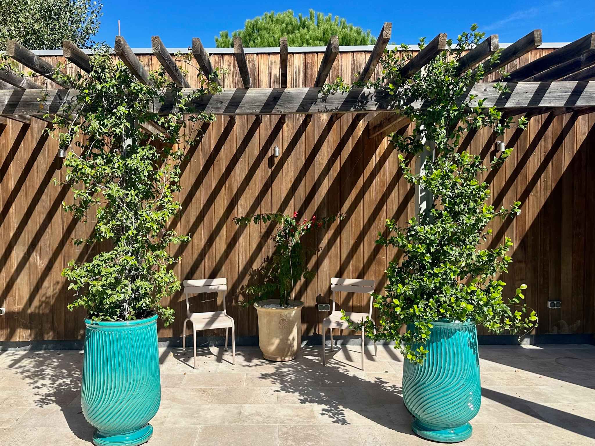 L' Olivette - Image 42