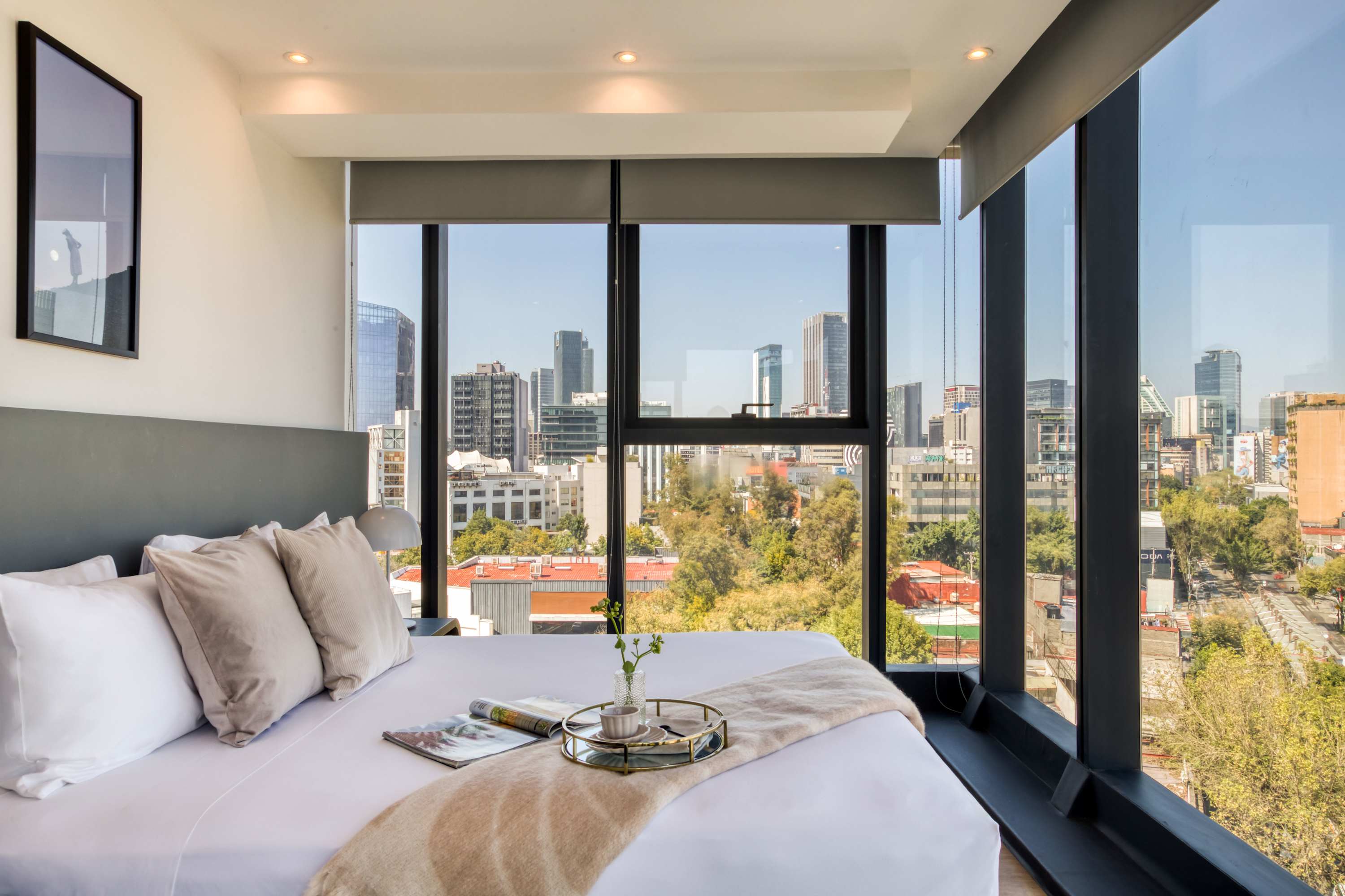 Insurgentes - Tortuga Marina Apt — Ciudad de México, Ciudad de México — vacation rental