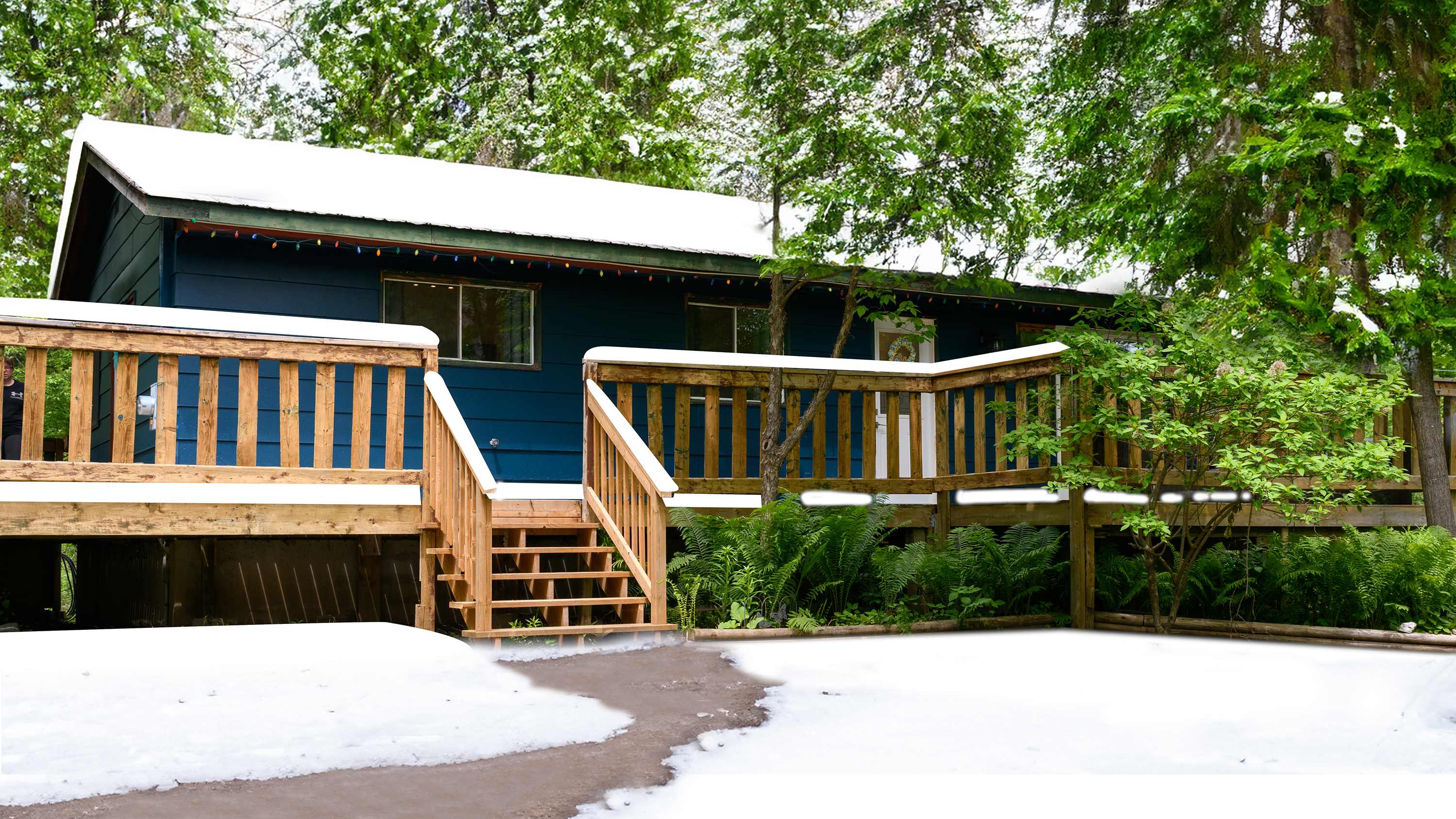 Cozy Cabin in the Forest w BBQ Firepit and More