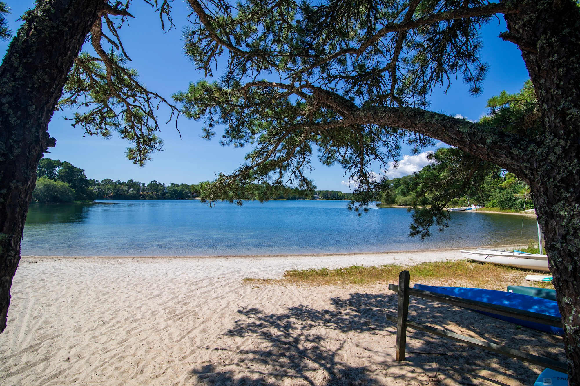 Photo 3 of Del Mar #17721