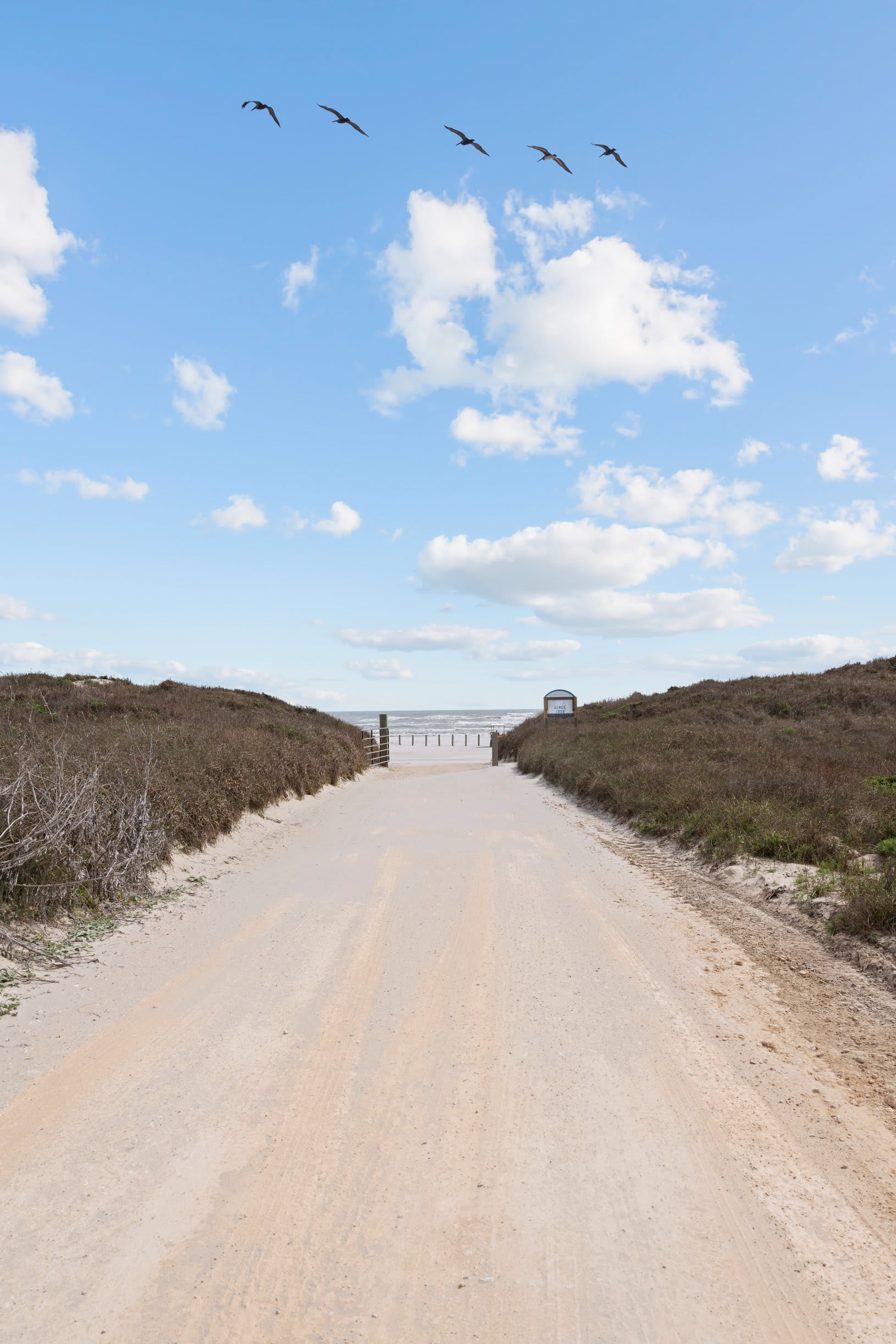 Golf Cart Incl, Beach Access & 3 Homes! | Seaside Cottages