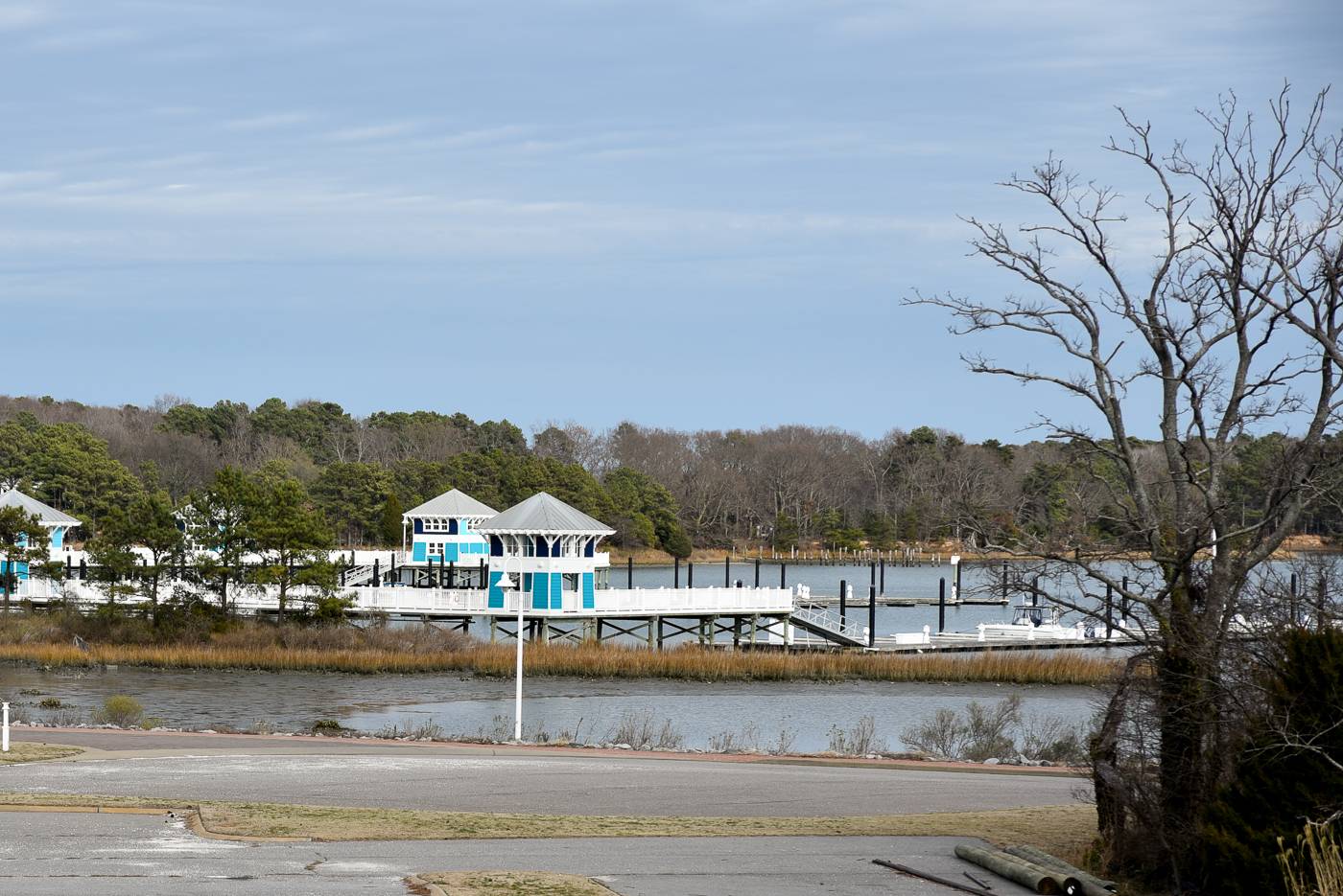 Bay Breeze | Chesapeake by Portoro