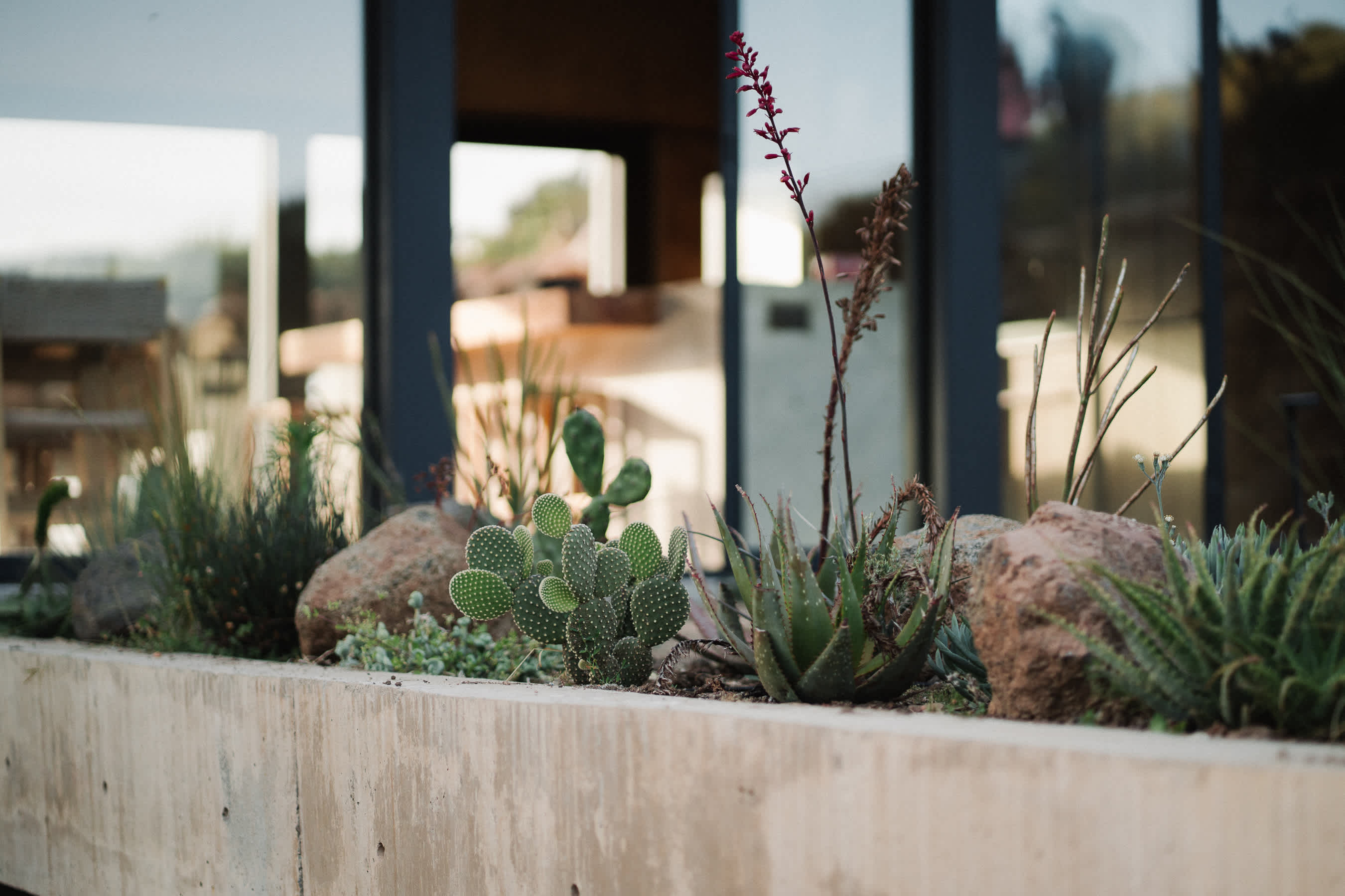 Casa Zilin Cuatro Cuatros 23