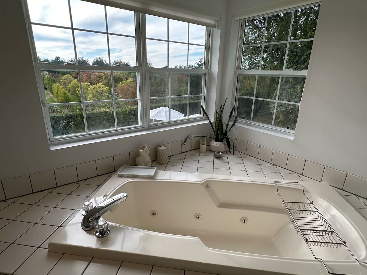 Jetted corner soaking tub beneath a bay window overlooking the yard.