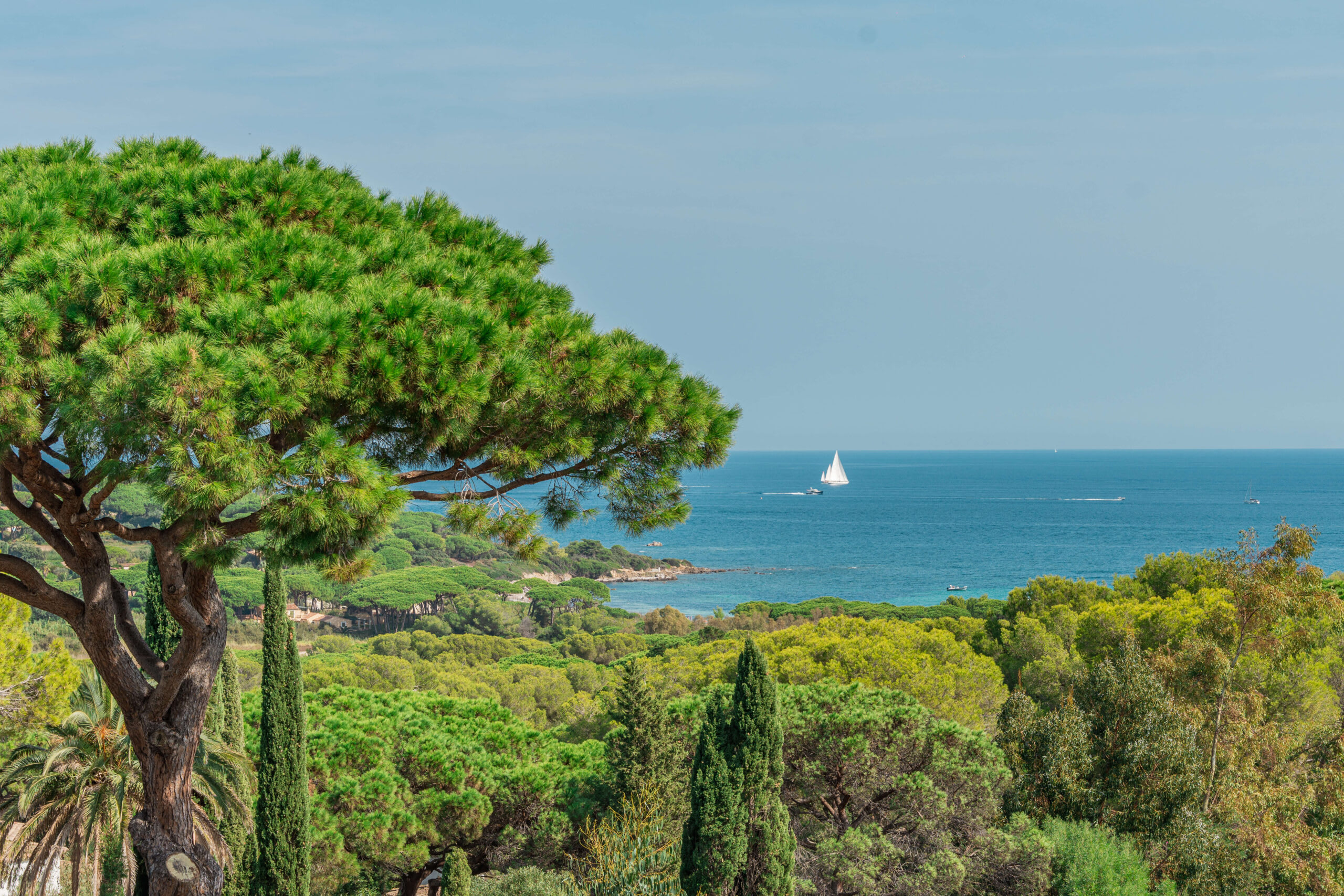 Location Villa Alpha Saint-Tropez photo - 49