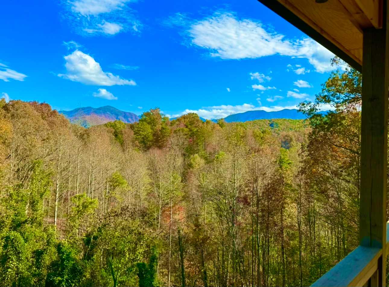 View 8