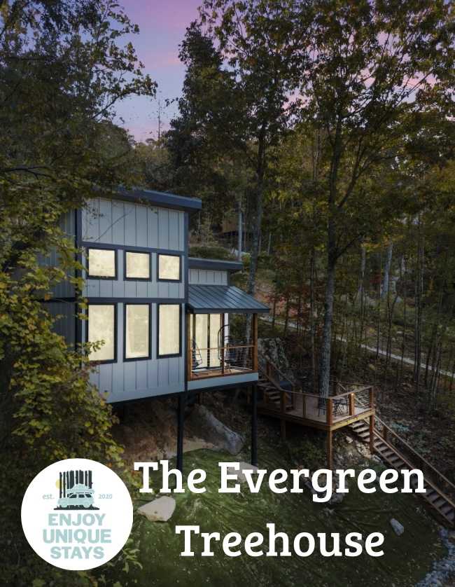 The Evergreen Treehouse with Winter Views