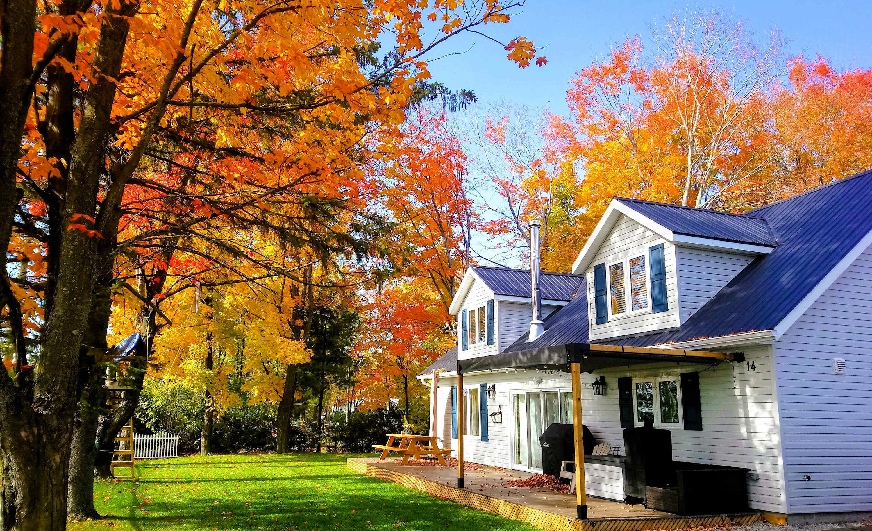 Cottage #725